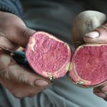 FOVIDA OPINA | Cuando las papas queman…