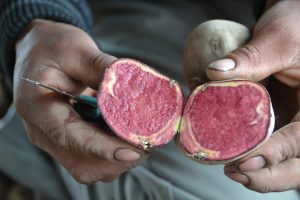 FOVIDA OPINA | Cuando las papas queman…