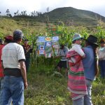 2017-2019| Agroecología, biodiversidad y desarrollo territorial sustentable en Jauja (Junín) y Tayacaja (Huancavelica)