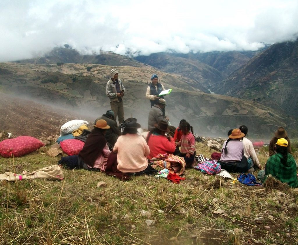 2015| Fortalecimiento de organizaciones de productoras/as agropecuarios/as para la incidencia en políticas públicas y la gestión sostenible de los recursos de sus territorios – Junín