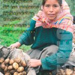 Derechos económicos de las mujeres trabajadoras rurales, artesanas y comerciantes