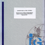 Balance auditado 2014