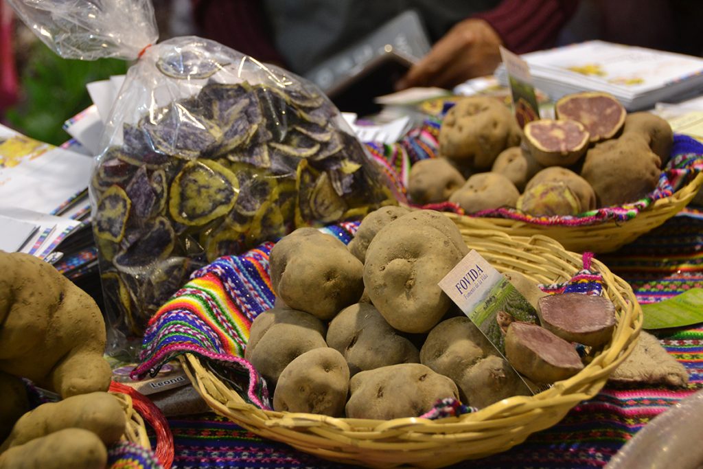 FOVIDA OPINA | Día Nacional de la Papa: ¿Será por fin el “boom” de la papa nativa?