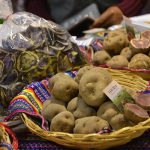 FOVIDA OPINA | Día Nacional de la Papa: ¿Será por fin el “boom” de la papa nativa?