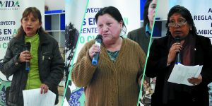INFOVIDA | Lideresas de Lima Sur demandan mayor atención de los gobiernos locales a las problemáticas ambientales en sus distritos