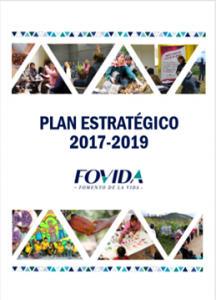 Plan estratégico institucional 2017-2019