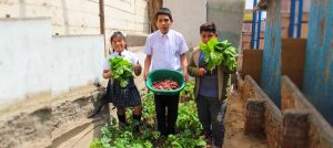 INFOVIDA | Biohuertos escolares en Lima Sur: cosechando esfuerzos para el cuidado del ambiente