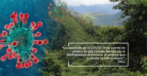 FOVIDA OPINA| Día Mundial del Ambiente en tiempos de pandemia:  Momento para repensar nuestras acciones ambientales