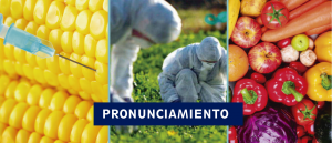 INFOVIDA | Pronunciamiento de la RAP exige la inmediata derogatoria del Reglamento que viola la ley de moratoria de los transgénicos del Perú