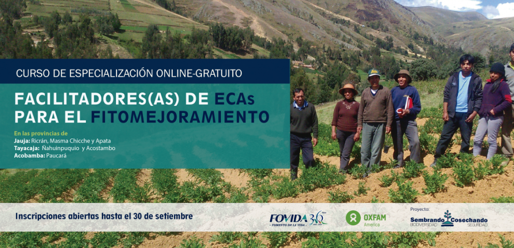INFOVIDA | Curso de especialización: Formación de facilitadores(as) de ECAs para el fitomejoramiento