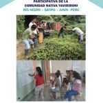 Plan comunal de Yavirironi