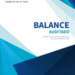 Balance auditado 2019