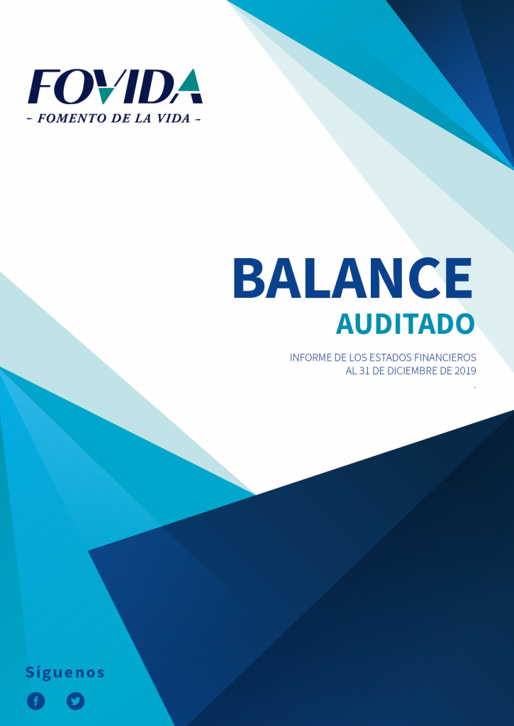 Balance auditado 2019