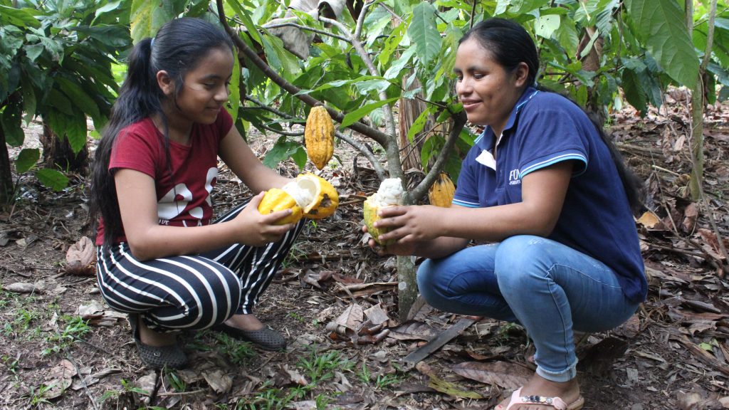 2020-2022| Fortaleciendo capacidades de organizaciones comunales rurales para la protección y gestión de sus ecosistemas y defensa de derechos comunales y territoriales en un contexto de cambio climático