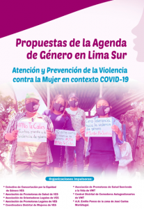 Propuestas de la agenda de género en Lima Sur