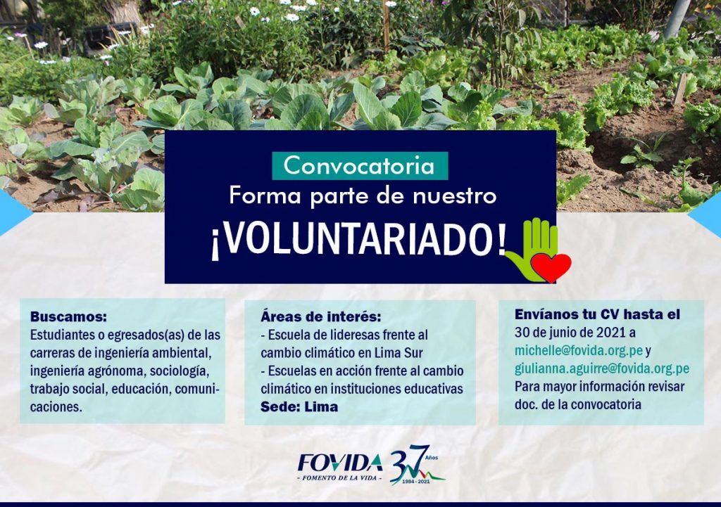LIMA| CONVOCATORIA DE VOLUNTARIADO