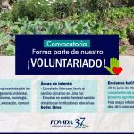 LIMA| CONVOCATORIA DE VOLUNTARIADO