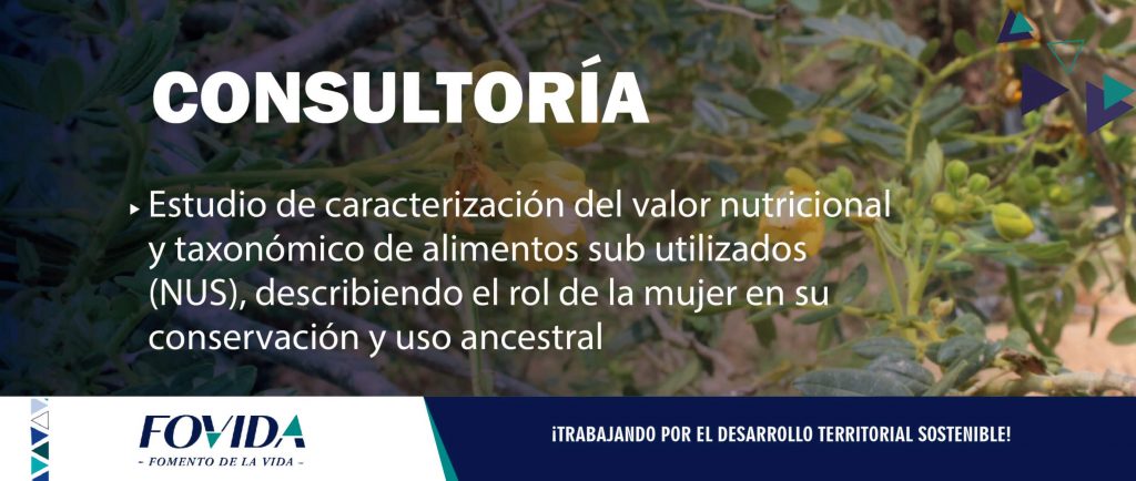CONSULTORÍA| Estudio de caracterización del valor nutricional y taxonómico de alimentos sub utilizados (NUS), describiendo el rol de la mujer en su conservación y uso ancestral