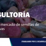 CONSULTORÍA| Estudio de mercado de semillas de papas nativas