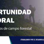 CONVOCATORIA| Contratación de técnicas/os de campo forestal