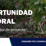 OPORTUNIDAD LABORAL| Satipo: Coordinador de proyecto