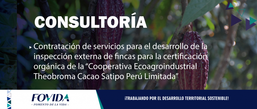 CONSULTORÍA| Servicios para el desarrollo de la inspección externa de fincas