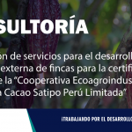 CONSULTORÍA| Servicios para el desarrollo de la inspección externa de fincas