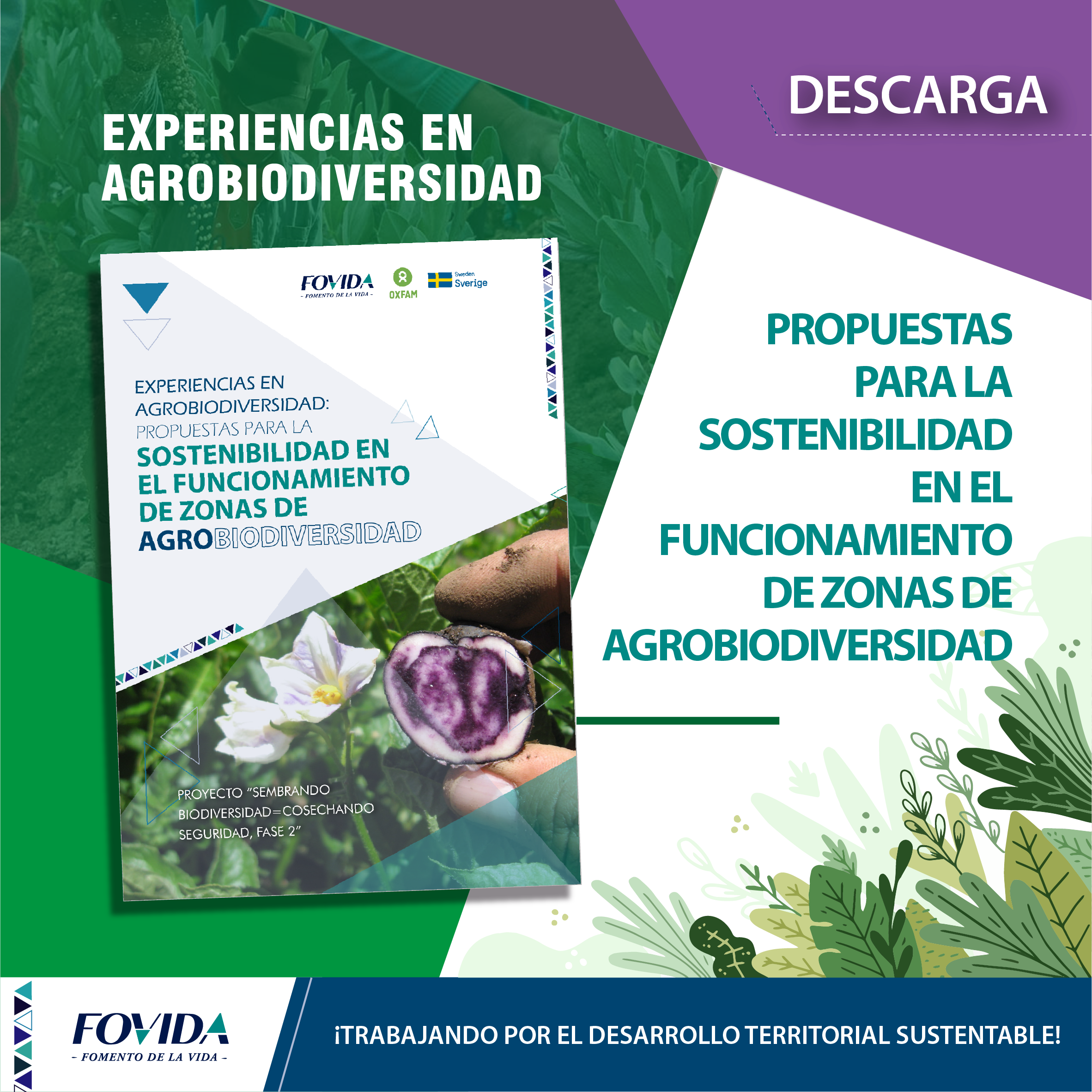 Experiencias en Agrobiodiversidad: Propuestas para la Sostenibilidad en el Funcionamiento de Zonas de Agrobiodiversidad