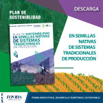 Plan de Sostenibilidad en Semillas Nativas de Sistemas Tradicionales de Producción