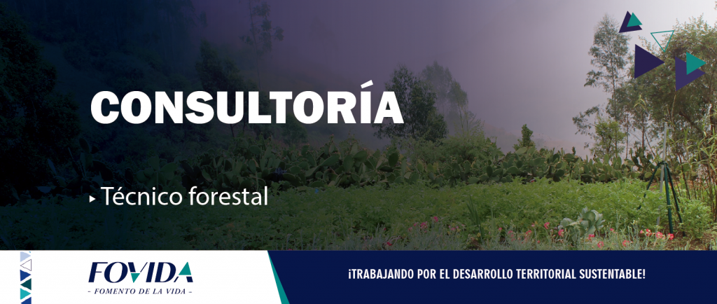 CONSULTORÍA| Técnico forestal