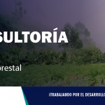 CONSULTORÍA| Técnico forestal