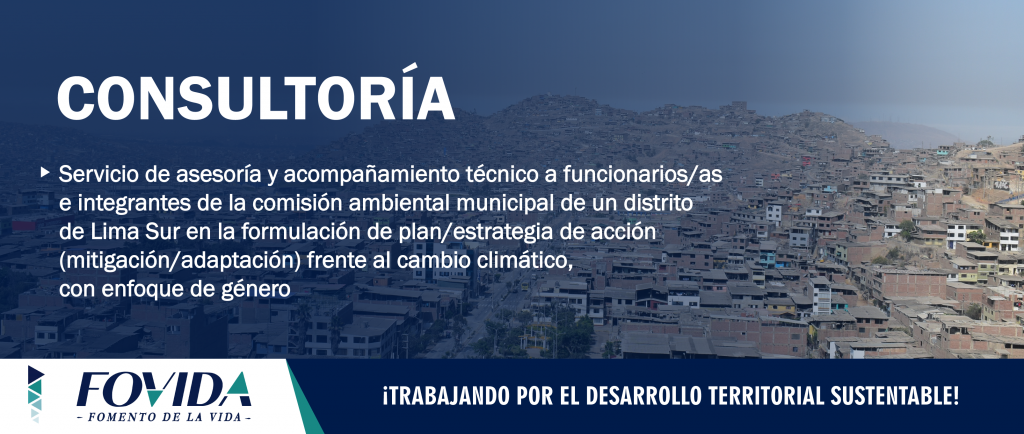 CONSULTORÍA| Servicio de asesoría y acompañamiento técnico a funcionarios/as e integrantes de la comisión ambiental municipal de un distrito de Lima Sur