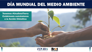 5 de junio| Día Mundial del Medio Ambiente: “Una Sola Tierra”