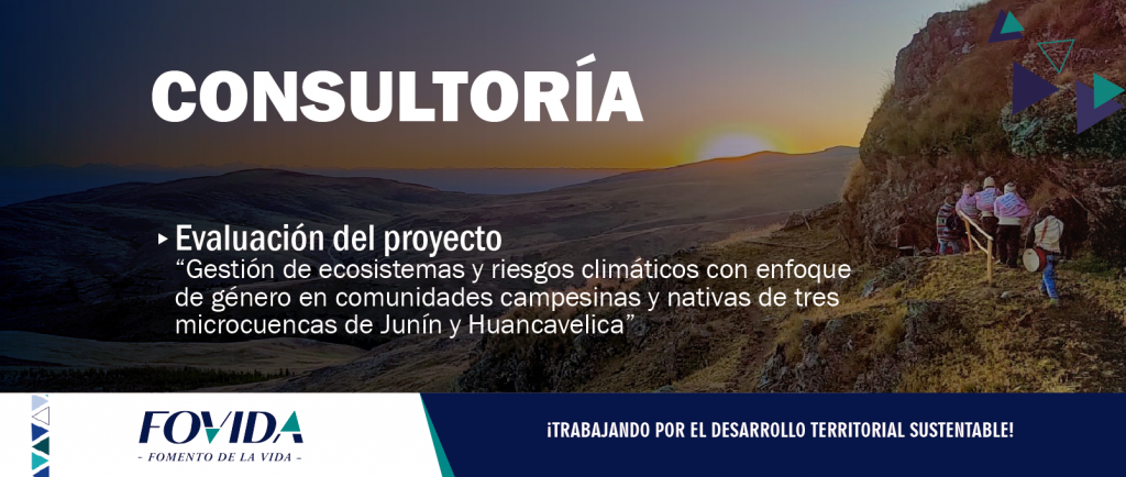 CONSULTORÍA| Ampliación de convocatoria para la evaluación de proyecto