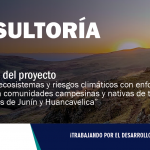 CONSULTORÍA| Ampliación de convocatoria para la evaluación de proyecto