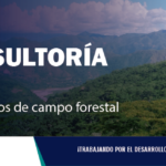 CONSULTORÍA| Técnico forestal Satipo