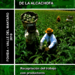 Guía para el cultivo de la alcachofa