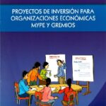 Proyectos de Inversión para Organizaciones Económicas MYPE y Gremios