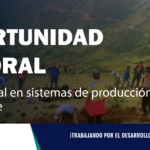 OPORTUNIDAD LABORAL JUNIN| Profesional en sistemas de producción sostenible
