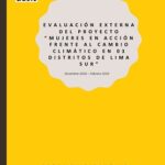 Proyecto “Mujeres en acción frente al cambio climático en Lima Sur (Resumen ejecutivo)