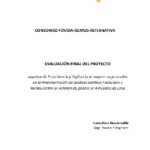 Proyecto “Impulsando la incidencia y vigilancia de mujeres organizadas en la implementación de políticas públicas nacionales y locales contra la violencia de género en 4 distritos de Lima” (Resumen)
