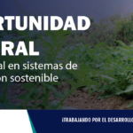 JUNIN| Profesional en sistemas de producción sostenible