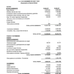 BALANCE GENERAL AL 31 DE DICIEMBRE DE 2021-2022