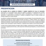 Reporte de Vigilancia Ciudadana de Villa El Salvador