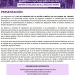 Reporte de Vigilancia Ciudadana de Villa María del Triunfo