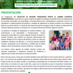 Reporte de Vigilancia Ciudadana de San Juan de Miraflores