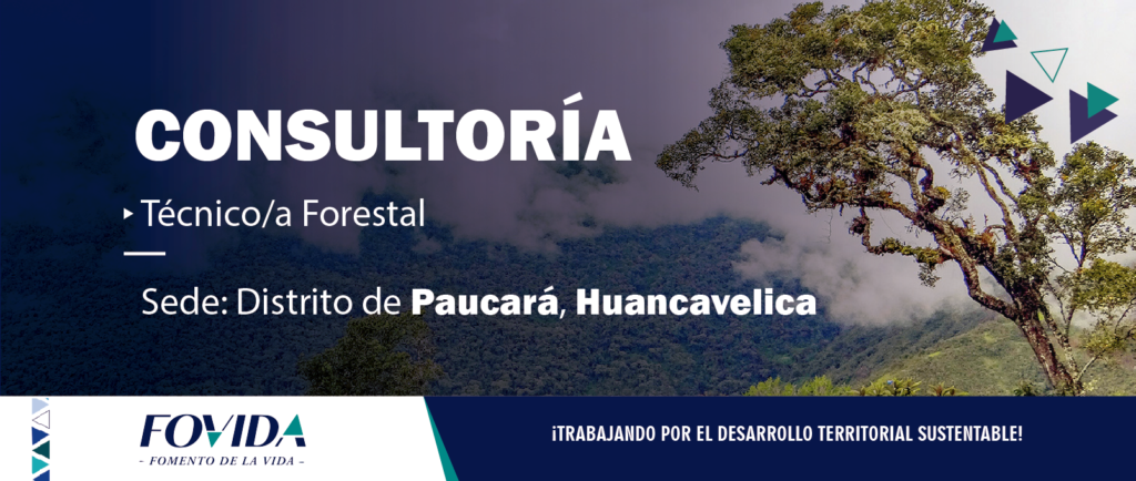 Consultoría| Técnico forestal: Paucará-Huancavelica