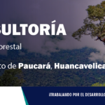 Consultoría| Técnico forestal: Paucará-Huancavelica