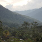 NO  A LA MODIFICATORIA DE LA LEY FORESTAL Y DE FAUNA SILVESTRE (LEY 29763)