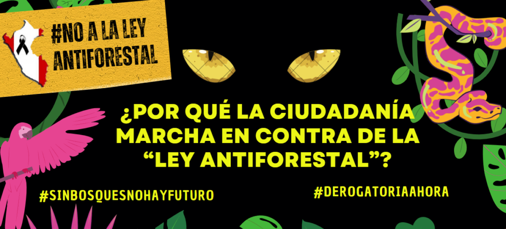 ¿Por qué la ciudadanía marcha en contra de la “Ley Antiforestal”?